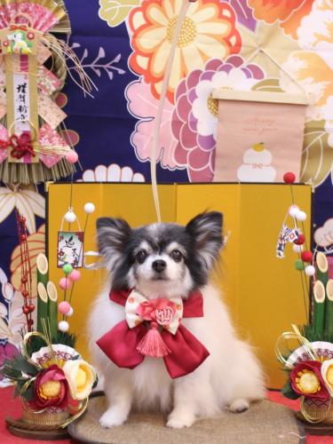 20240116ミルクくん